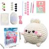 Kit de Materiales de Ganchillo para Muñeca Conejo Transfronterizo para Principiantes, Muñeca Hecha a Mano con Instrucciones en Inglés e Ilustraciones