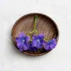 Flor de Simulación Flor de Adelfa Hilos de Flores Flores Pequeñas Arreglo Floral Hecho a Mano Cabezas de Flores Accesorios para el Cabello con Cabezas de Flores Accesorios para Corona de Flores Fabricante Mayorista