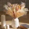 Bouquets de Flores Secas Más Vendidos, Juncos Pequeños, Hierba Cymbidium, Flores de Polvo, Decoración del Hogar para el Día del Maestro, Fábrica de Yunnan