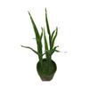 Planta artificial gengibre mudas planta verde conjunto de decoração de museu fábrica de mudas de milho falsa atacado mudas de gengibre artificiais