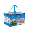 Bolsa de aislamiento de fábrica, desechable, para conservación de frutas, bolsa de hielo refrigerada con papel de aluminio incorporado, bolsa portátil para llevar con cremallera cuadrada