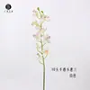 Ventas directas de fábrica: Decoraciones de Muestras de Flores Laminadas 3D de Phalaenopsis Realista y Orquídea Asiática Pequeña, Orquídeas Araña de Colores