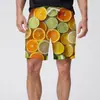 Venda Direta de Fábrica Calças de Cinco Pontos Impressas em 3D Calças Havaianas de Praia Masculinas Shorts para Férias na Beira-Mar Venda Quente Transfronteiriça Novo Estilo