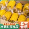 Maíz de fruta listo para comer, segmentos de maíz dulces y crujientes, alimento cocido envasado al vacío, desayuno fresco sin cocinar, snack para dormitorio estudiantil, sustituto de comida