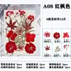 Paquete de Hojas de Flores Secas DIY Cristal Epoxi Paquete de Materiales de Flores Hechos a Mano Pegatinas de Flores Prensadas Materiales Plantas Decorativas Muestras Fotografía