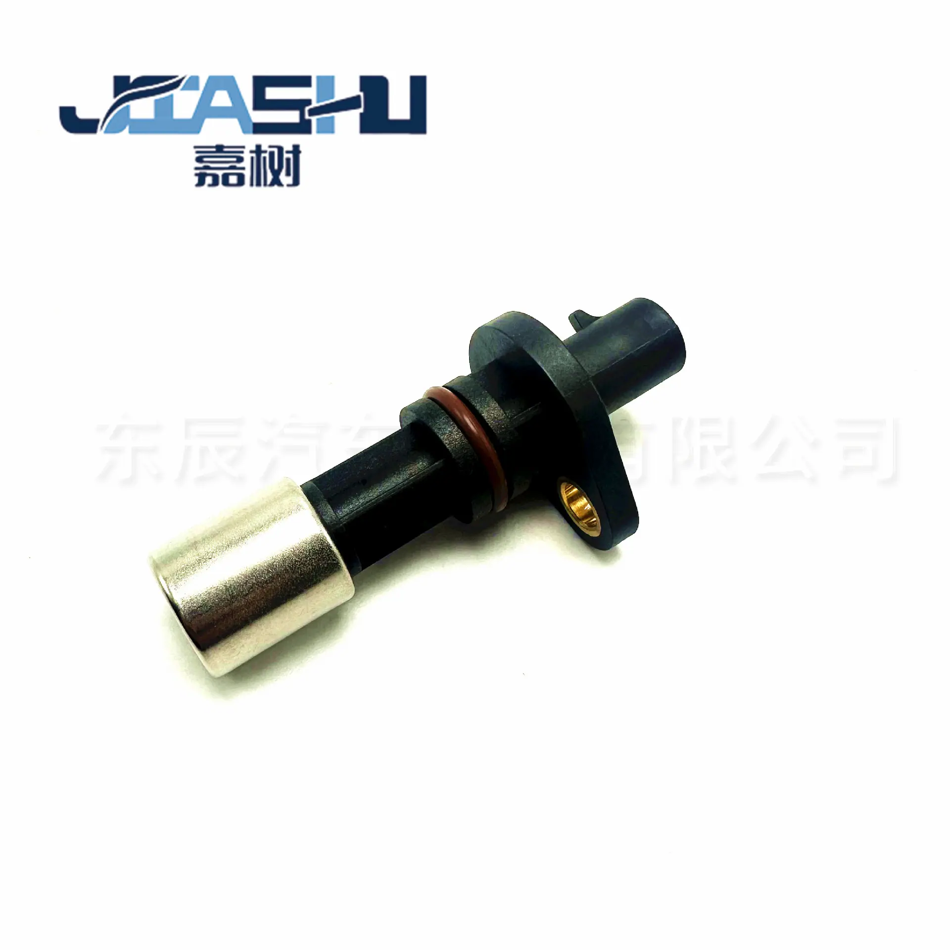 JS-03-494 (2)