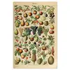 Póster Vintage Pintura en Lienzo Verdura Fruta Hongo Arte Planta Imagen Ciencia Papel Kraft Color Pintura Decorativa Núcleo