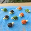 Decoração de tartaruga Musgo micro paisagem decoração de paisagem garrafa ecológica planta jardinagem boneca decoração de bolo nova promoção