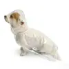 Capa de Chuva Transparente Eva para Pet Impermeável Cobertura de Chuva para Cachorro Capa de Chuva para Cães de Porte Pequeno e Médio Personalização de Fábrica Transfronteiriça Oem