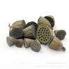 [Loto seco individual] Loto seco con semillas flor seca arreglo floral de Buda loto pastoral natural fruto de loto flor seca