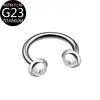 Anillo de Piercing G23F136 de Aleación de Titanio 16g con Rosca Interna, Anillo de Nariz, Pendiente, Anillo de Labio, Tachuela para Ceja con Incrustaciones de Diamante, en Stock del Fabricante, Transfronterizo