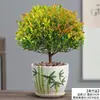 Planta de Bonsái Nanmu Rojo de Hoja Pequeña, Perenne y Fácil de Cuidar, que Purifica el Aire en Interiores y Absorbe Formaldehído, una Planta Verde de Escritorio en Maceta