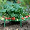 Ventas transfronterizas de Amazon puesto de fresas soporte para plantar fresas soporte para trepar plantas jardinería de hortalizas en macetas para balcón