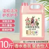 Detergente para Ropa Master Fragrance 5kg Bolsa Barril Grande Fragancia Duradera Protección del Color Detergente para Ropa Perfumado Hogar Caja Completa Mayoreo