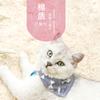 Bandana Triángulo de Algodón para Gato con Hebilla Ajustable, Adecuada para Gatos y Perros, Suministros de Algodón para Mascotas, Bandana Triángulo Lisa para Mascotas