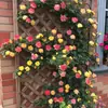 Envío Directo de Una Pieza Plántulas de Rosa Grande para Desfiles Trepadora para Balcón Rosa Trepadora de Cuatro Estaciones Planta Trepadora Rosa Planta de Rosa en Maceta