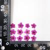 Pequeño Narciso Flor Seca Espécimen de Planta en Relieve Deflector Carcasa para Teléfono Móvil Marcapáginas Jardín de Niños Hecho a Mano Hoja Adhesiva Maquillaje