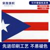 Bandera de Puerto Rico 90*150cm bandera punto de bandera