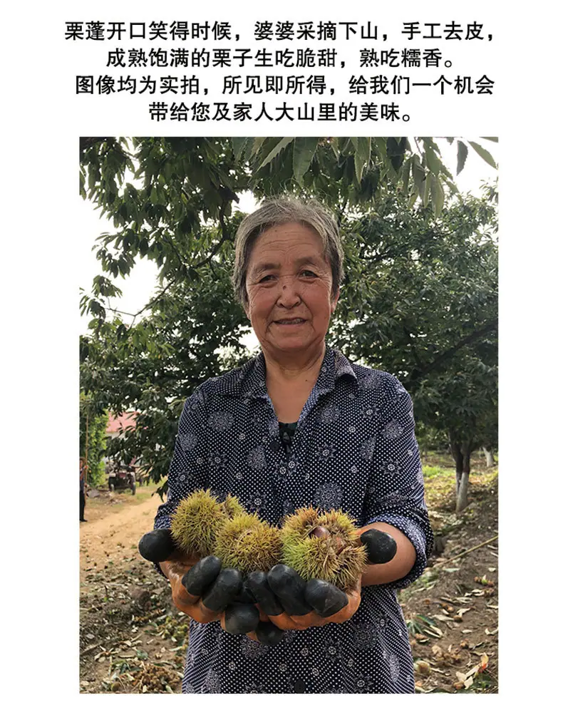 新老树_13.jpg