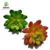 Simulación planta suculenta súper grande tamaño pequeño suculenta bonsái planta verde flor de plástico en maceta micro paisaje con pared vegetal