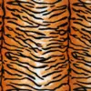 Tela con Estampado de Gato de Piel de Conejo Pequeña en Stock, Tela de Piel de Conejo Imitación Animal Tigre Guepardo, Tela de Visón, Manualidades para Juguetes