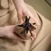 Bolsa Portátil para Armazenamento de Xícara de Chá Bolsa para Xícara Única Conjunto de Chá para Viagem ao Ar Livre Bule Gaiwan Bolsa de Armazenamento Rápida para Xícara
