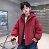 Jaqueta Grossa Acolchoada para Meninos Estilo Outono e Inverno 2026 Novas Roupas de Inverno Crianças Médias e Grandes Populares Estilo Inverno para Meninos
