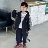 Conjunto de Sudadera con Capucha para Niños Primavera y Otoño 2026 Nuevo Otoño Moda Fresca Conjunto de Dos Piezas Cárdigan para Niños