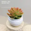 Decorações de plantas suculentas verdes artificiais para interiores, escritório, pequenos ornamentos, plantas verdes, combinação de micro paisagem, móveis com plantas em vaso