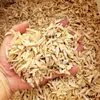 Medicina Herbal China Astrágalo Rodajas Pequeñas Redondas 500g Astrágalo del Norte Astrágalo Uniforme Rodajas Pequeñas Oblicuas Rodajas Pequeñas de Castaño de Agua 5-8 Astrágalo en Cubos
