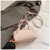 2026 Nuevo Bolso de Lujo de Nicho para Mujer Bolso Boston Almohada Mini Bolso de Mano Versátil Bolso de Hombro Cruzado Texturizado