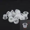 Vaso Duro de Fondo Plano para Tatuar, Vaso Duro de Plástico para Tatuar, Vaso Desechable de Color para Tatuar, Suministro Transfronterizo