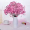 Directamente de Yunnan Nomeolvides Gypsophila Flores Reales Semisecas Secadas al Aire Naturalmente Flores Conservadas Regalo Adorno para Sala de Estar Mesa de Comedor