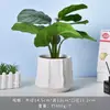 Vaso de Flor de Cerâmica Criativo Simples Branco Vaso de Porcelana Branca de Dehua Vaso Mini para Suculenta Orquídea Phalaenopsis Pequeno Vaso Decorativo