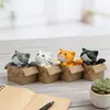 Caja de Papel con Micro Paisaje para Coche, Figura de Gato, Muñeco de Dibujos Animados Pidiendo un Abrazo, Decoración Personalizada para el Tablero del Coche