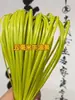 Rattan de 5 mm para bolsos tejidos de verano, 500 g, DIY hecho a mano, venta al por mayor de fabricante, degradado multicolor
