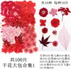 Flores Secas, Kit de Materiais para Prensagem de Flores Reais, Espécimes de Folhas Transfronteiriços, Espécimes de Plantas de Flores Prensadas DIY, Pétalas de Flores Secas para Resina para Artesanato