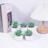 Simulação de plantio verde e vaso de cerâmica carnudo com diamantes. Simulação de vaso de cerâmica carnudo para decoração de casa. Super decoração.