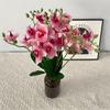 Flor Artificial Phalaenopsis en Maceta Producto Terminado Hogar Sala de Estar Decoración de Boda Flor de Mano Flor Falsa Accesorios de Fotografía Hogar