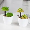 Plantas Verdes Simples Suculentas de Plástico em Vaso Ornamento para Sala de Estar Mesa de Jantar Flores Artificiais Decorações Ornamento Flores Biomórficas