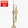 Instrumento Musical Pequeño OEM Si bemol Estudiante Principiante Nivel de Entrada Trompeta Instrumento Musical Nivel de Interpretación Profesional Instrumento de Viento