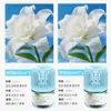 Novo Modelo para Entrega: Zhumeng Casa Celebridade da Internet Sem Fogo Líquido Refil de Aromaterapia para Quarto de Menina Fragrância Gaiola de Pássaro Pequeno Perfume