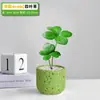 Plantas Verdes de Quatro Estações, Plantas em Vaso Trevo de Quatro Folhas, Plantas Verdes para o Escritório, Flores de Baixa Manutenção, Plantas em Vaso para Mesa, Flores Cultivadas em Solo
