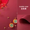 Papel de Fundo Fotográfico Refletivo de Cor Sólida Tradicional Adereços Fotográficos para Joias Cartão de Papel para Fotografia de Produtos Coloridos Fruta Vermelha Pequena