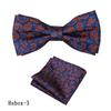 Corbata Vintage para Hombre de Negocios Pañuelo de Bolsillo Traje Camisa de Vestir Lazo Cuello Poliéster Patrón Roto Lazo
