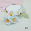 Flor de seda de enredadera de la mañana tocado minoritario making flor de trompeta simulación caja de regalo caja de flores con decoración de sombrero de flores