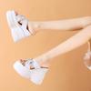 Chinelos com Plataforma e Salto Anabela Grossos para Mulheres, Chinelos da Moda com Salto Anabela de 14cm para o Verão, Novo Estilo