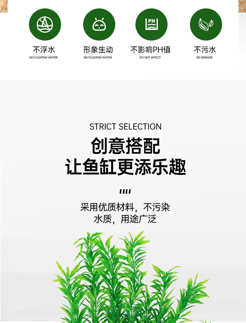 仿真水草_02.jpg