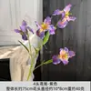 Decoração Doméstica e Design de Casamento Simulados de Luxo Leve de Alta Qualidade, Arranjo de Flores de Orquídea Íris de 4 Cabeças para Exposição em Quarto Modelo, Flores Artificiais