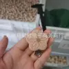 Clips de Chupeta de Madeira, Corrente de Clips de Chupeta de Madeira de Faia, Anti-Perda, Ecológico, Atacado do Fabricante, Arte em Madeira, Madeira Maciça, Minimalista Moderno